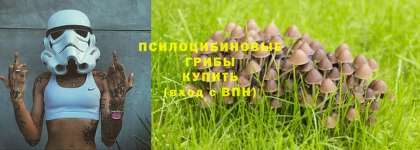 стаф Балахна