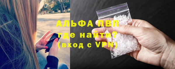 прущие грибы Рославль